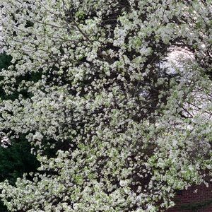 Meet your Posher, Anderson